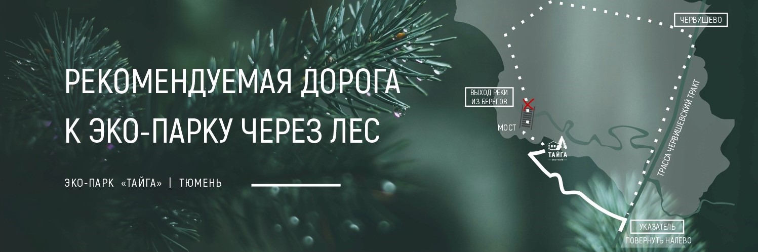 Дорога к ЭКО-ПАРКУ