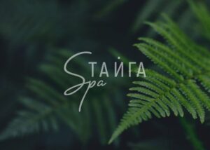 Сертификат на посещение акватермальной зоны SPA ТАЙГА на одну персону, в любой день